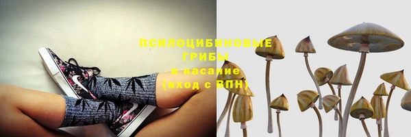 СК Алексеевка