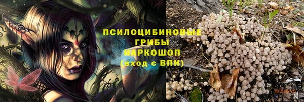 СК Алексеевка