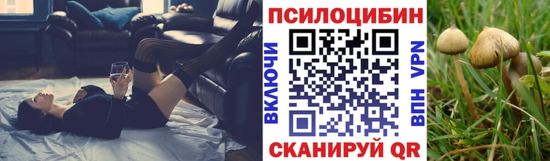 Псилоцибиновые грибы Cubensis  mega сайт  Сортавала  дарнет шоп 